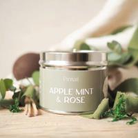 Pintail Candles Apple Mint & Rose Tin Candle Extra Image 1 Preview